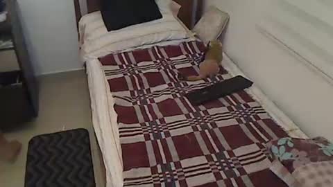 Holofernes45gil online show from April 2026 07:17:01 AM