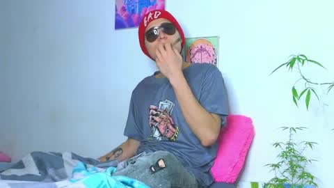      online show from March 2026 08:09:02 AM