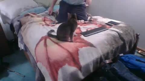 Sebastians Mess online show from October 2025 12:41:02 AM