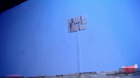 Victoria online show from November 2025 11:21:02 AM