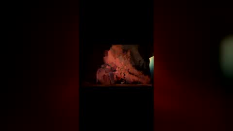 Snapshot of hoodiehoe chatting on March 2026 06:41:02 AM hoodiehoe online show from March 2026 06:41:02 AM