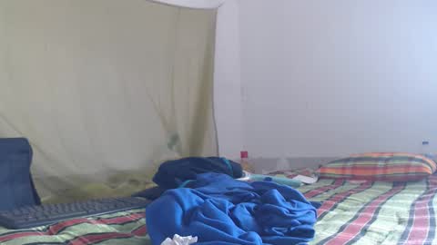 horhoar online show from November 2025 06:37:01 AM