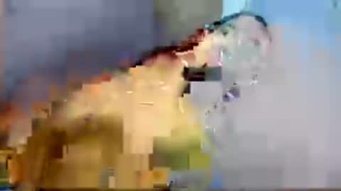 Althea Wilson online show from July 2026 06:29:01 AM