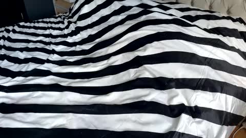 hornyasscouple1009 online show from January 2026 11:37:02 AM