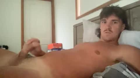 Snapshot of hornyboi186 chatting on March 2026 06:08:01 AM hornyboi186 online show from March 2026 06:08:01 AM