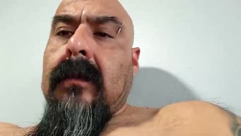 Snapshot of hornychrisla chatting on December 2024 11:46:02 PM hornychrisla online show from December 2024 11:46:02 PM