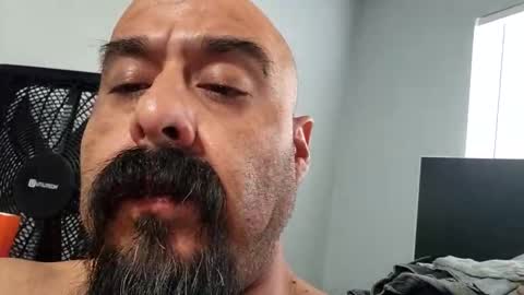 Snapshot of hornychrisla chatting on January 2025 04:39:01 PM hornychrisla online show from January 2025 04:39:01 PM