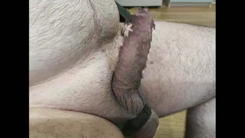 Snapshot of hornyrandy1 chatting on February 2025 03:47:01 PM hornyrandy online show from February 2025 03:47:01 PM
