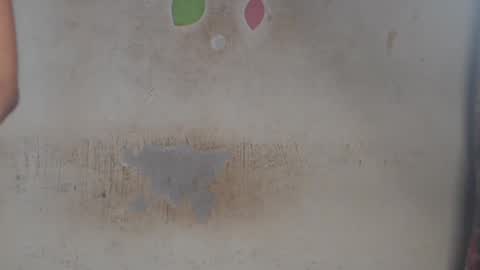 Snapshot of hornyslut_xx chatting on June 2026 08:19:01 AM Bella online show from June 2026 08:19:01 AM