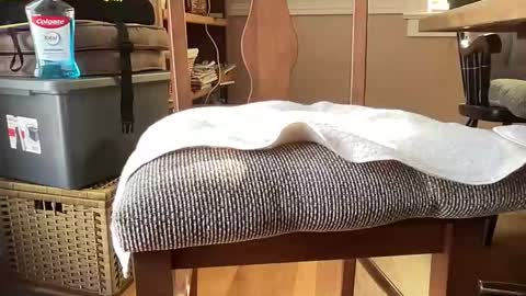 HornyThumb online show from January 2026 06:02:02 PM