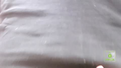 Lila online show from December 2024 12:35:01 PM