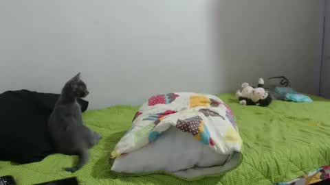 Hot and PowerHOPE U MISS ME online show from January 2025 06:45:01 AM