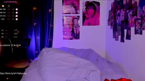 Snapshot of hotarutomo chatting on February 2025 09:46:02 PM  Next stream 28112024 8 GMT 3 online show from February 2025 09:46:02 PM