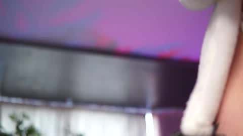 Anais online show from January 2026 09:35:01 AM