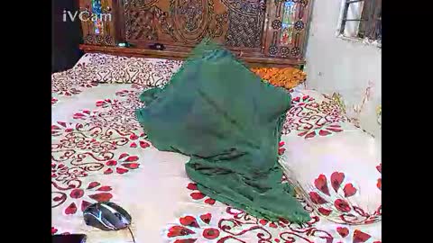 Hotcapolx online show from November 2025 05:34:01 PM