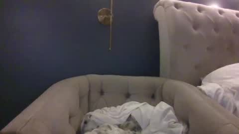 hothousewife333 online show from September 2025 03:07:02 AM