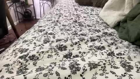 Annabelle online show from February 2026 12:05:02 AM