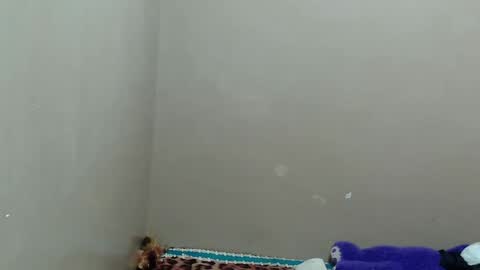 Snapshot of hottieyannie chatting on January 2025 07:38:01 PM naughtyyanniexxx online show from January 2025 07:38:01 PM