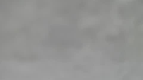 Slutty little female cat online show from January 2025 05:51:02 AM