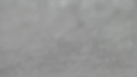 Slutty little female cat online show from October 2025 04:33:02 AM