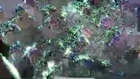 Snapshot of hp58649blabla chatting on September 2025 01:07:02 AM hp58649blabla online show from September 2025 01:07:02 AM