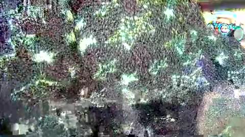 Snapshot of hp58649blabla chatting on September 2025 07:55:02 AM hp58649blabla online show from September 2025 07:55:02 AM