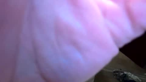 htwnswangn9 online show from April 2026 03:29:02 AM