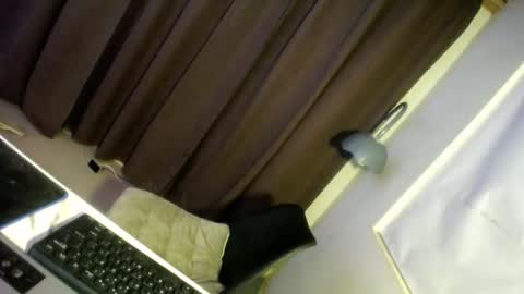 Precious online show from December 2024 06:56:01 AM