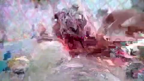 Huge dick online show from March 2026 05:28:01 PM