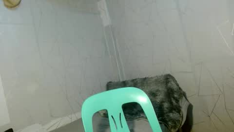 Cara online show from April 2026 09:03:02 AM