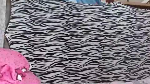 bella    passwordshow 500tokens  no time limit online show from October 2025 01:56:02 PM