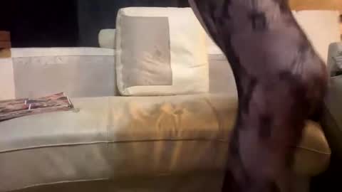 huippari online show from December 2025 11:09:02 PM