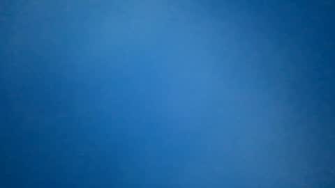 hummelbummel00 online show from February 2026 07:19:02 PM