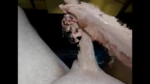 hung_mac0 online show from May 2026 02:01:02 PM