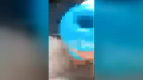 hung_stallion94 online show from July 2026 02:45:02 PM