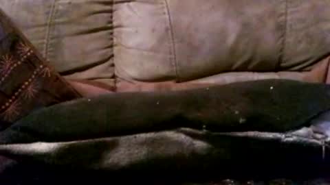 Snapshot of hungc2c420 chatting on March 2026 05:41:02 PM hung420boner online show from March 2026 05:41:02 PM