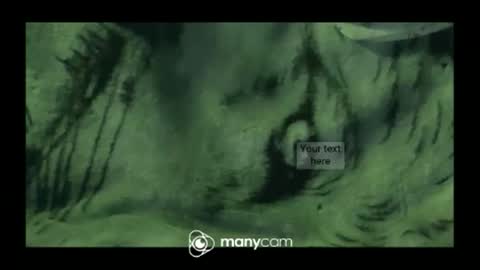 Snapshot of hungc2c420 chatting on March 2026 03:28:02 PM hung420boner online show from March 2026 03:28:02 PM