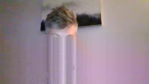 hunginhville2347 online show from April 2026 02:47:02 AM