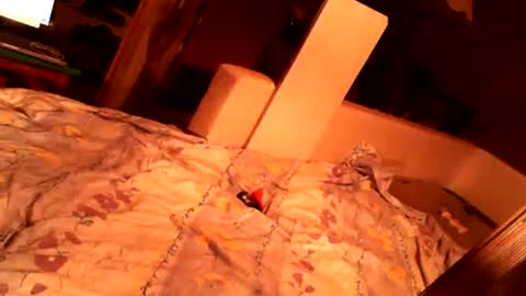 hungryanalslut online show from February 2025 10:58:01 PM