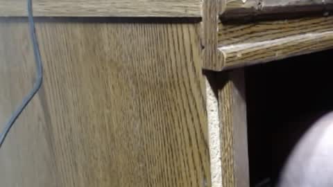 hungsofine online show from December 2024 07:27:02 PM