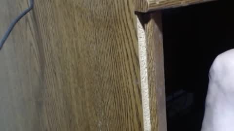 hungsofine online show from December 2024 06:16:02 PM