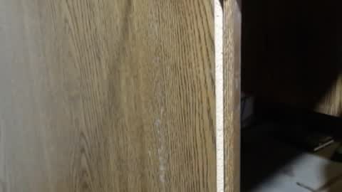 hungsofine online show from January 2025 07:39:01 PM