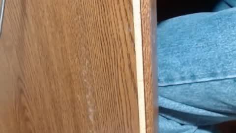 hungsofine online show from January 2025 06:52:01 PM