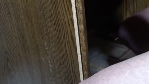 hungsofine online show from February 2025 09:58:02 PM