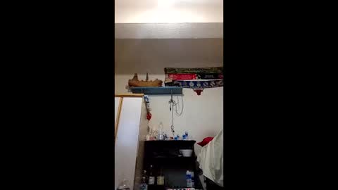 ia1405 online show from December 2025 11:34:02 PM