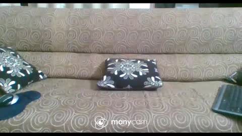 JP online show from February 2025 06:26:01 PM