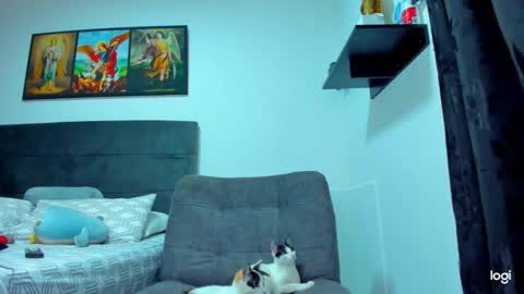 iam_your_fantasy online show from February 2026 09:13:01 PM