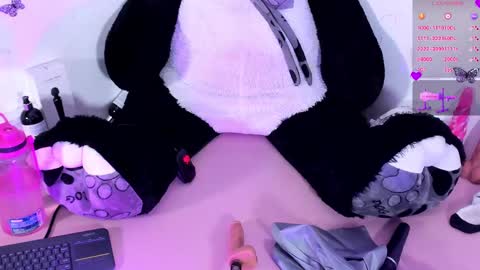 Snapshot of iamstephanie13 chatting on January 2025 05:56:01 AM Steph - Online Again   - 1 DECEMBER online show from January 2025 05:56:01 AM