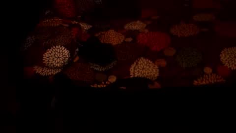 MADAM  MISTRESS ASIANA online show from December 2025 04:25:02 PM