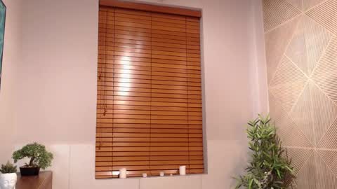 Snapshot of ian_davis chatting on February 2025 12:49:01 AM Ian Davis online show from February 2025 12:49:01 AM